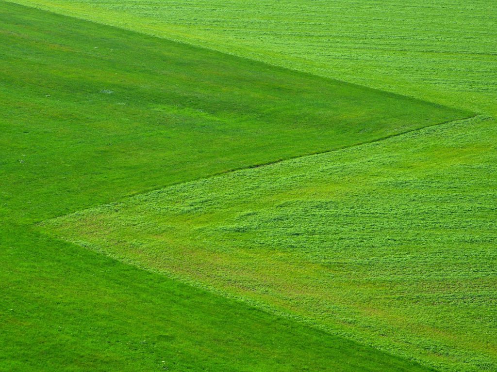 Suche nach der Motivation, oder: Wo das Gras grüner ist.