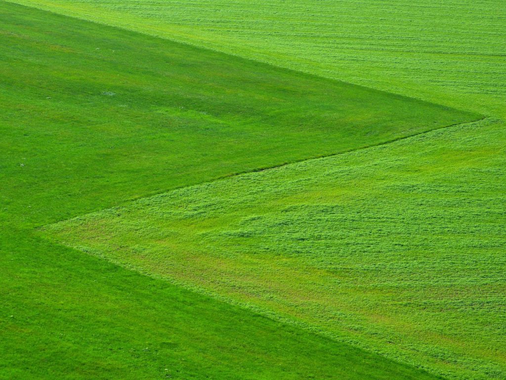 Suche nach der Motivation, oder: Wo das Gras grüner ist.