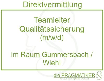 Teamleiter Qualitätssicherung (m/w/d) zur Direktvermittlung